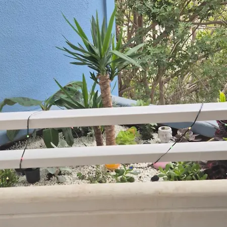 Ocean Flat With View Relax Appartement *