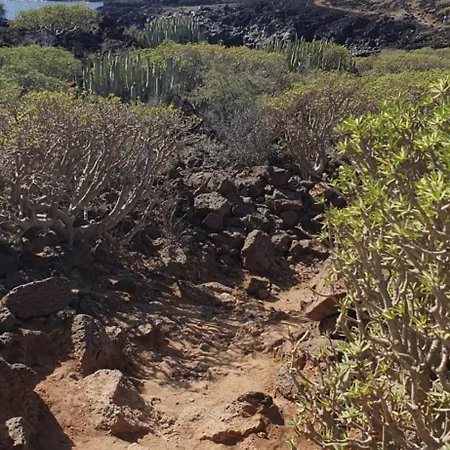 Ocean Flat With View Relax Lägenhet *