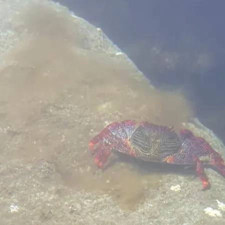 Ocean Flat With View Relax Lägenhet
